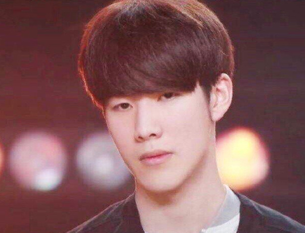 即便灰熊实 即便灰熊实