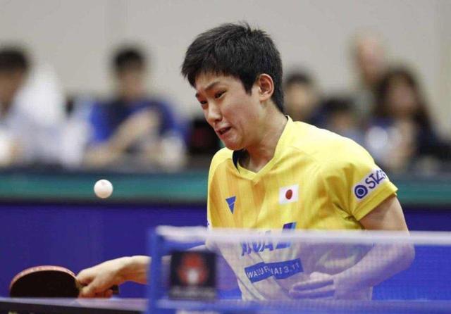 管理的承办 管理的承办